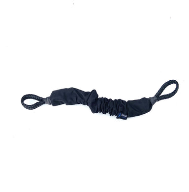 Dog sledding bungee